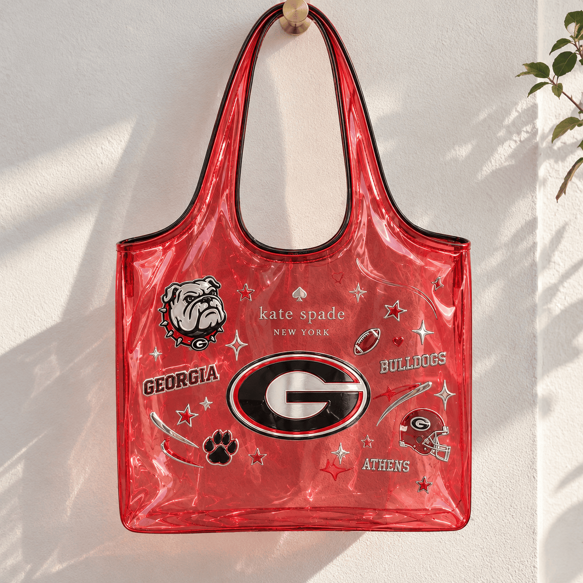 GGBD Transparent 3D Tote Bag HTTT